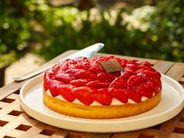 Frank BRUNET D'AUBIAC - FBAP SARL